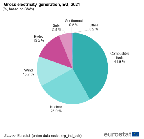 Pie chart on gross electricity production in 2021 in the EU, EU Member States and some of the EFTA countries.
