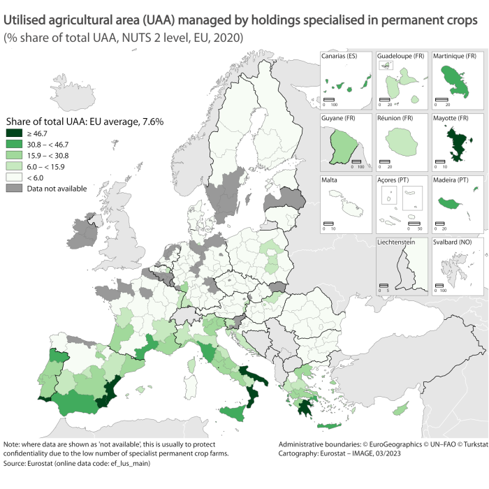 Map of the EU Member States showing utilised agricultural area (UAA) managed by holdings specialised in permanent crops as percentage share of total of UAA. At NUTS 2 level, the sections are colour-coded within certain ranges for the 2020.