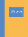 Stats4beginners Life cycle.png