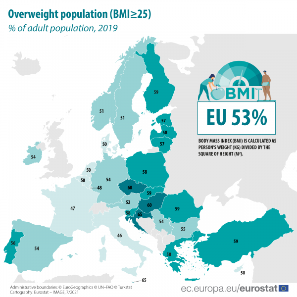 Adult Obesity Prevalence Maps, Overweight & Obesity