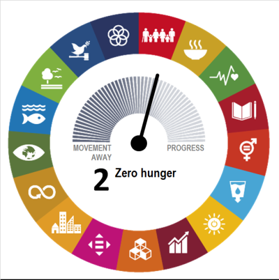 Sdg Zero Hunger Statistics Explained