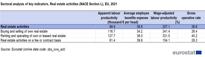 Table showing sectoral analysis of key indicators of real estate activities in the EU for the year 2021.
