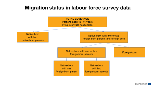 Infographic showing migration status in labour force survey data of persons aged 15 to 74 years living in private households.