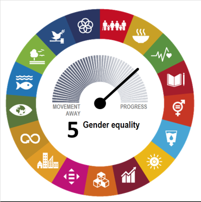 Goal 5: Gender Equality • Sustainable Development Goals • Purchase