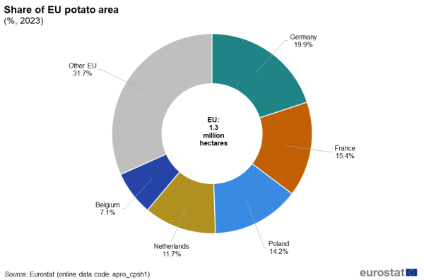 a donut chart showing the share of EU potato area in 2023, with segments showing Germany, France, Poland, the Netherlands, Belgium and all other EU countries together.