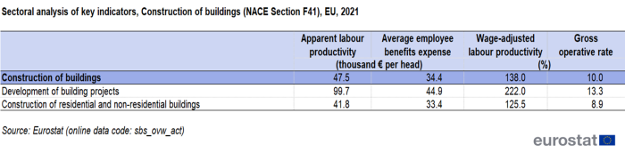 Table showing sectoral analysis of key indicators, construction of buildings in the EU for the year 2021.