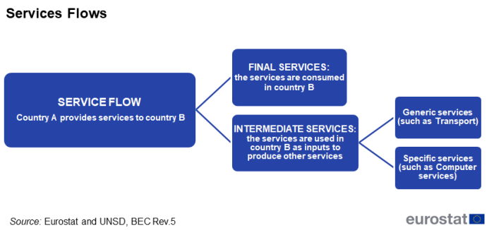 Flow chart showing service flows.