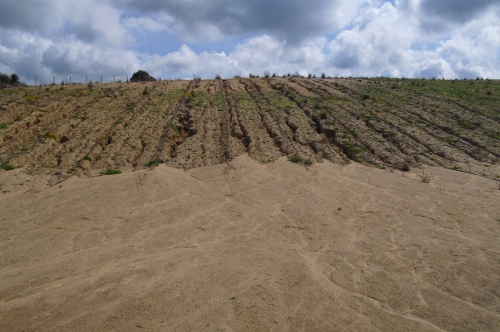 an image showing an example of soil water erosion on arable land.