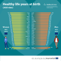 Healthy Life Years at Birth-7.png