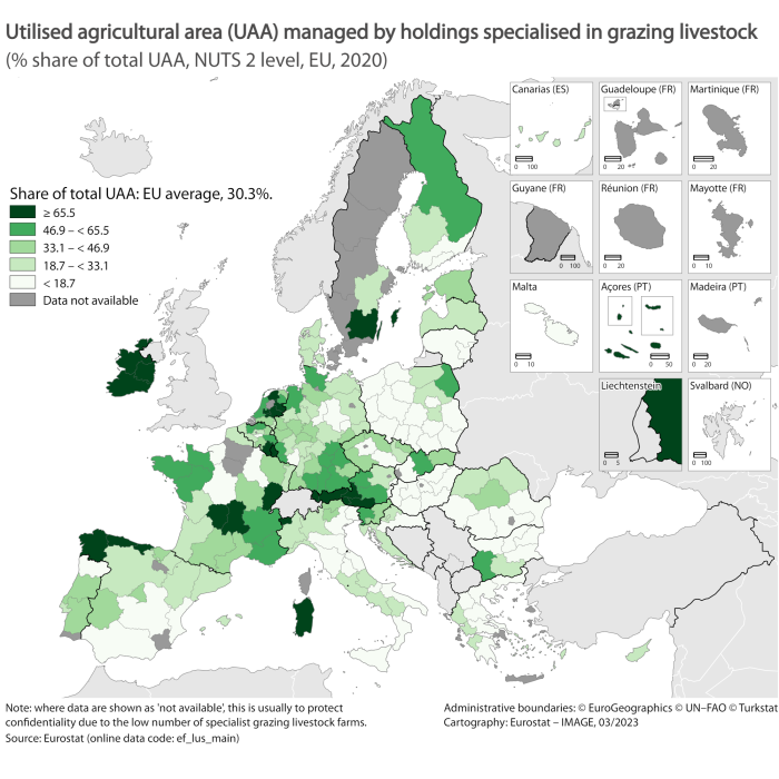 Map of the EU Member States showing utilised agricultural area (UAA) managed by holdings specialised in grazing livestock as percentage share of total of UAA. At NUTS 2 level, the sections are colour-coded within certain ranges for the 2020.