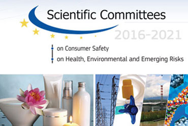 Special Edition - Scientific Committees