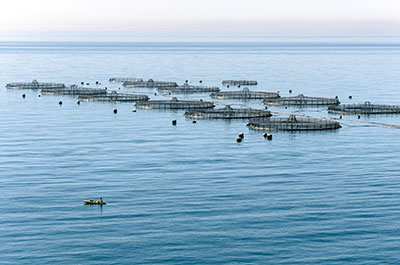 Aquaculture area in Almería (Spain) – © David Rodríguez Sánchez