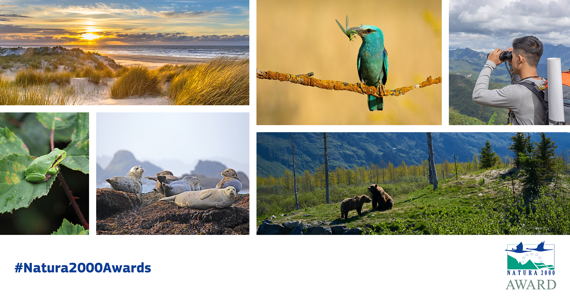 banner for: European Natura 2000 Award Newsletter