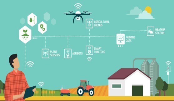 a diagram of smart farming, with sensors in plants, agribots and drones, and weather stations, transmitting data to the device for the farmer to manage the crops