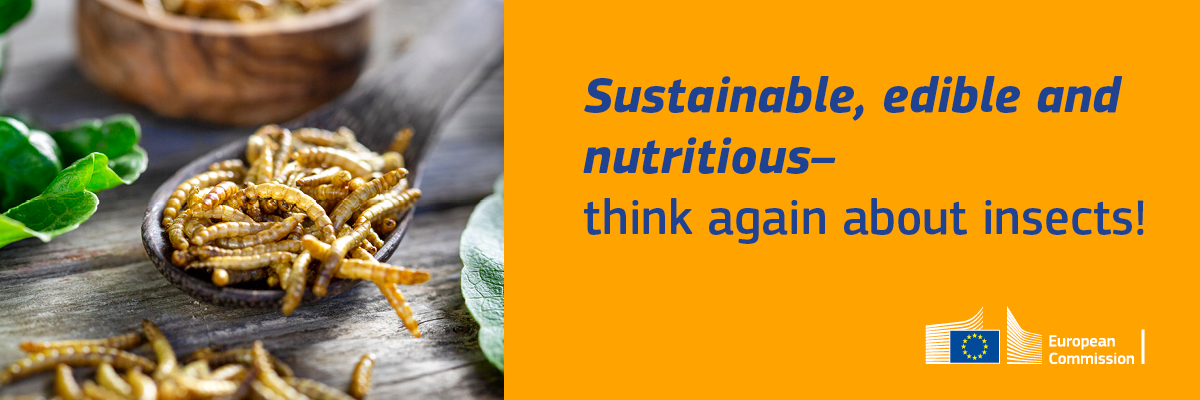Sustainable, edible and nutritious – think again about insects!