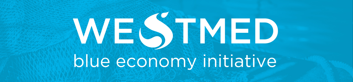 banner for: WestMED Blue Economy Initiative