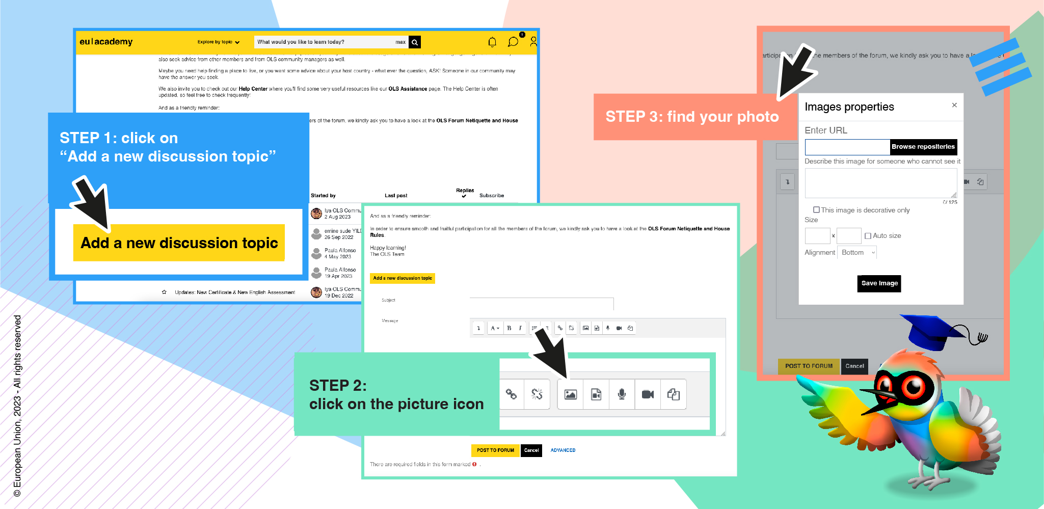 Screenshots of the OLS platform illustrating how to upload photos