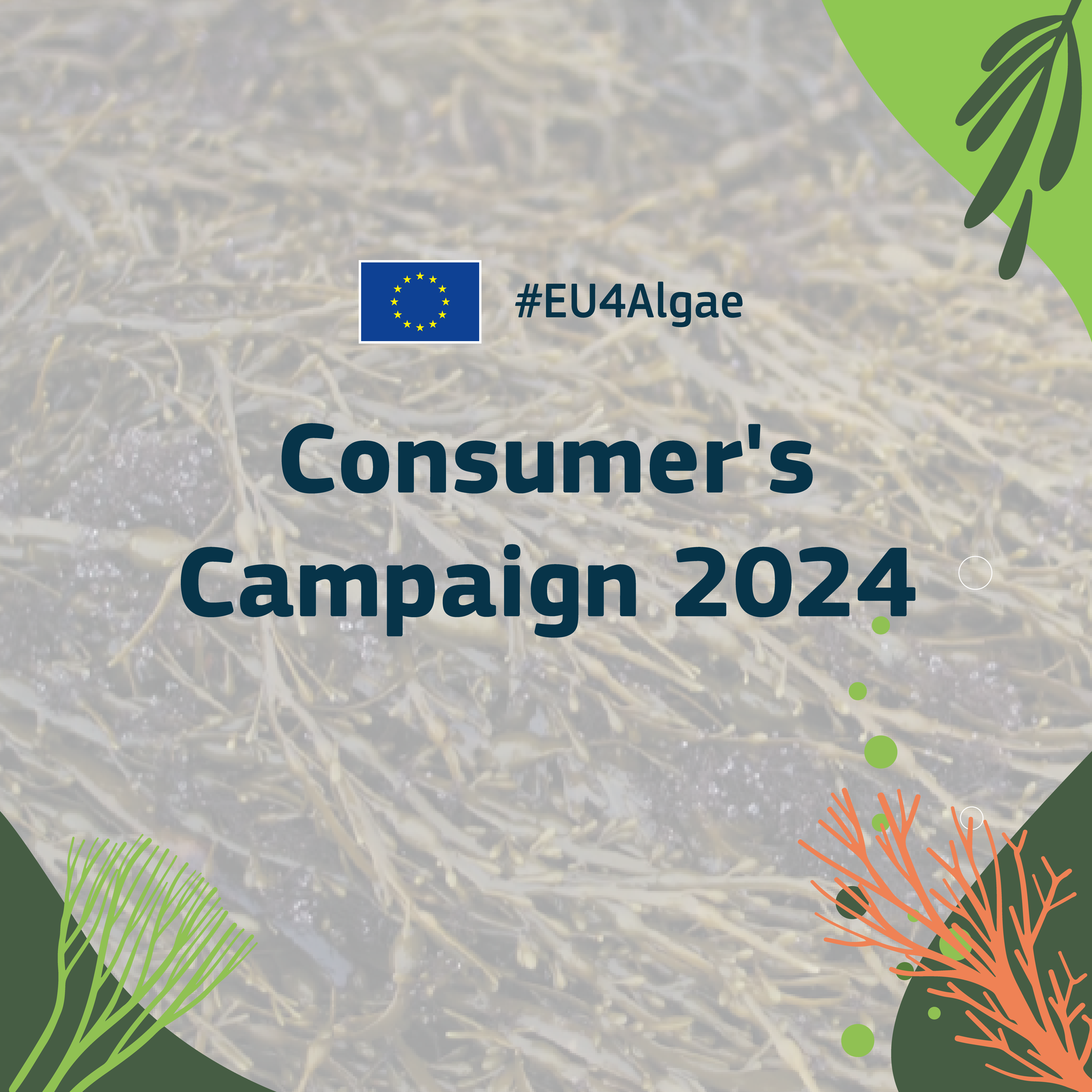 EU4Algae__Consumers_Campaign_2024__KiLCBaeQKrI3dgcOr6vtH5kXc_106110.png