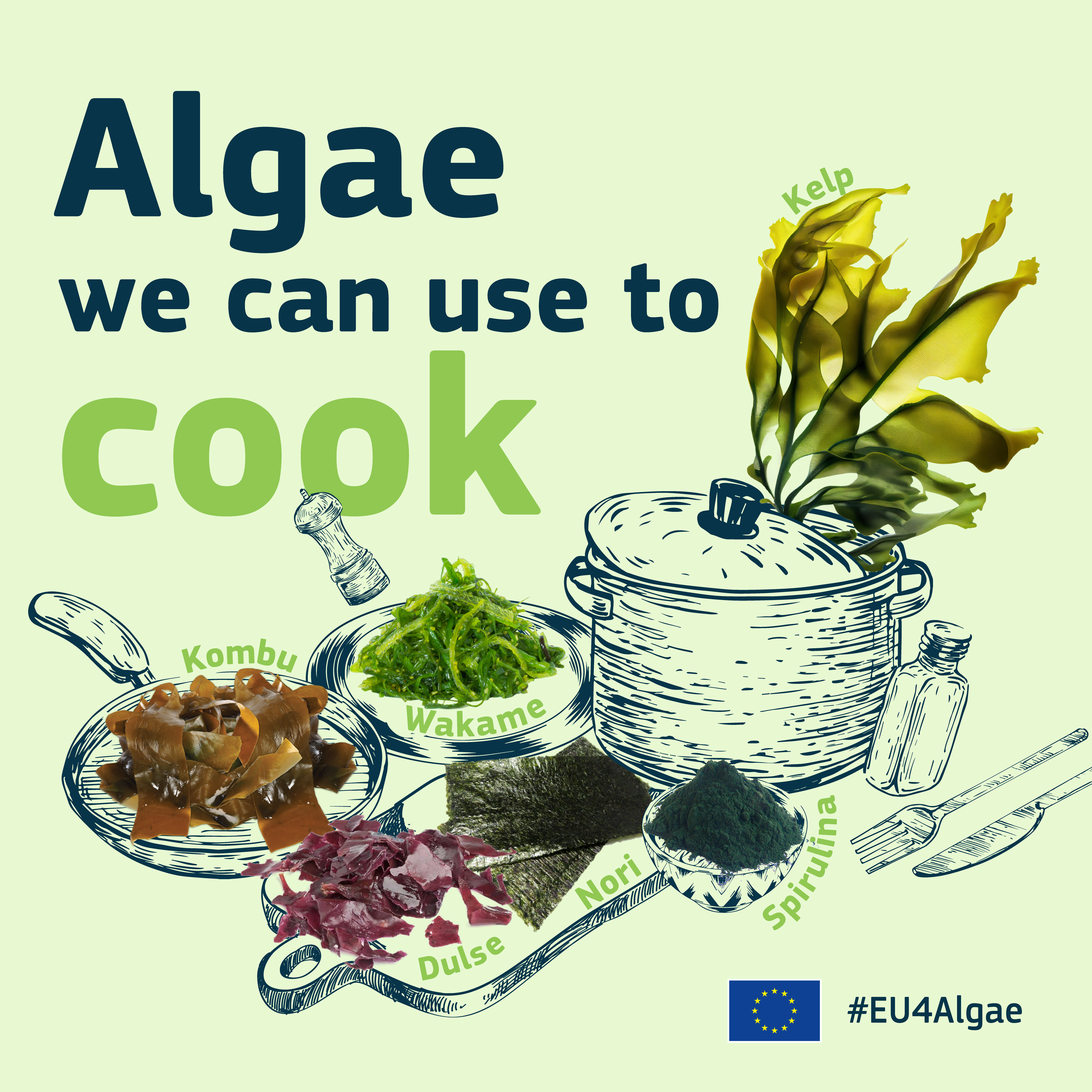 EU4Algae_consumers_campaign_Algae_we_can_use_to_cook__dEkwZ9m5YugFTtWLmgzTvYnepx8_106111.png