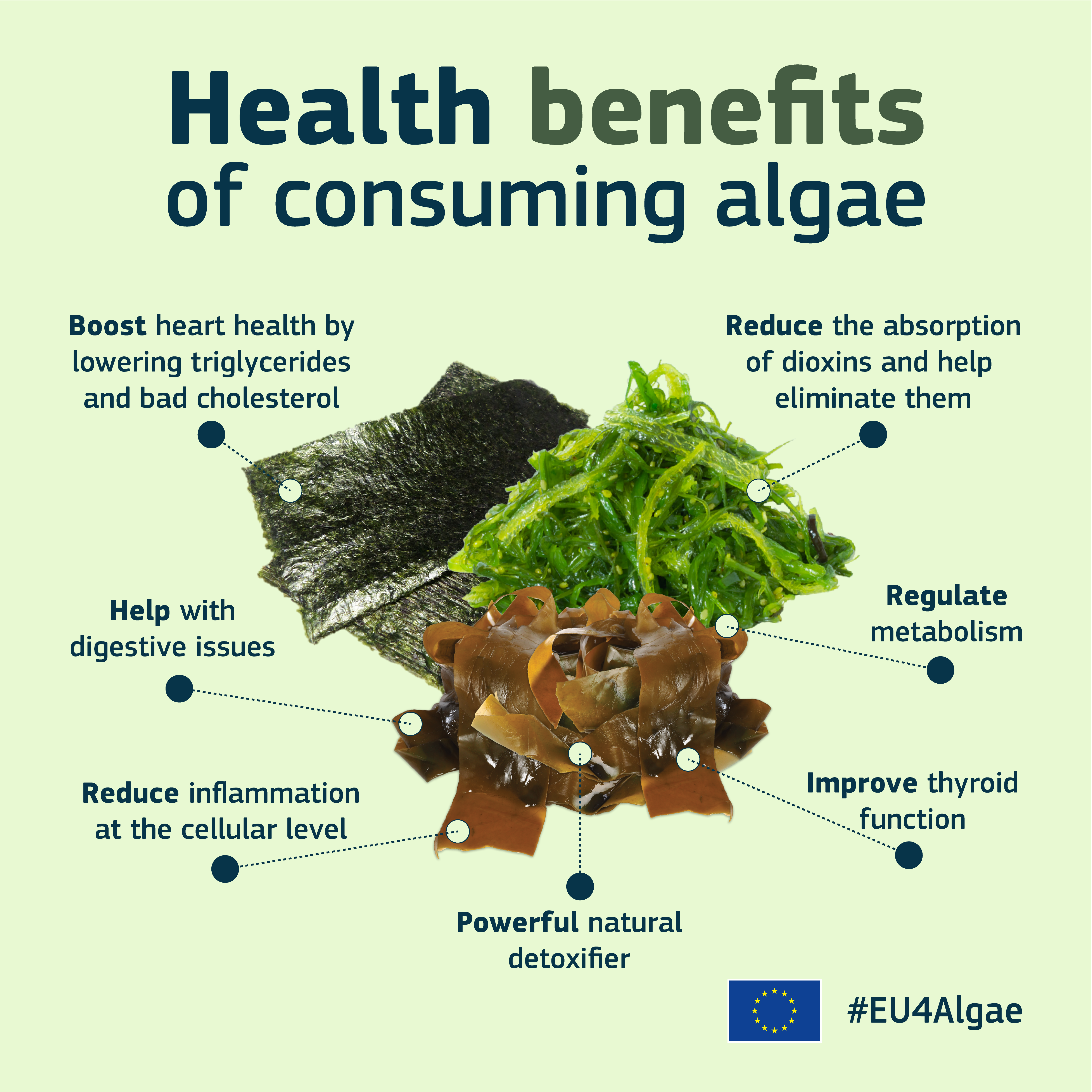 EU4Algae_consumers_campaign_Health_benefits_of_consuming_algae_LjhqXXaedBX9DYtsdVRTHTLehgw_106113.png