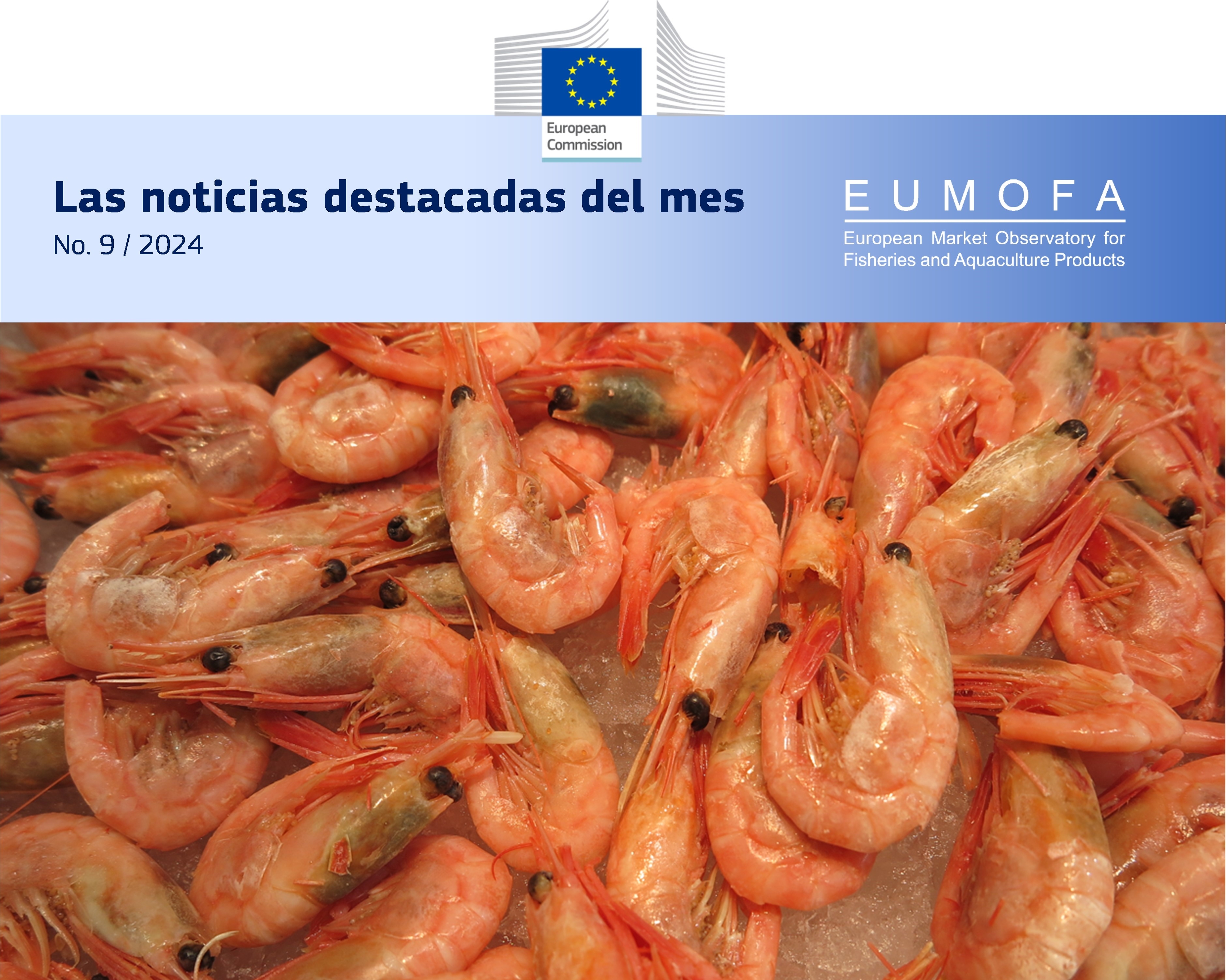 Cover_MH9_ES_91TNw70GjVIhCISpv4RSyEsm4_110163.jpg