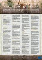 The full text of the EU Charter of Fundamental Rights – a poster