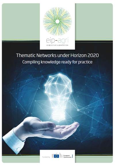 Thematic networks brochure cover