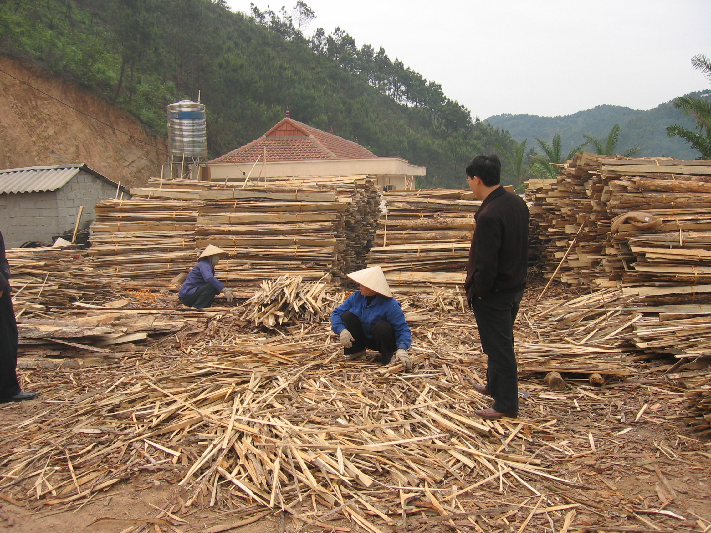 Use of wood residues in Vietnamese wood processing plant