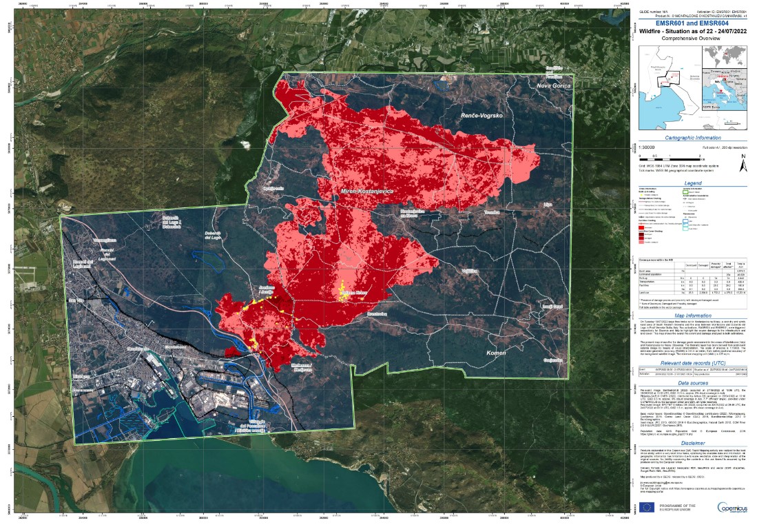 Classificazione dell'area bruciata in Friuli VG il 24 luglio 2022