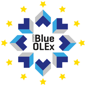 Virtual entity: BlueOLex
