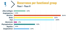 % of occurrences per functional group