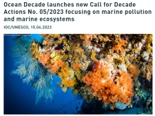 UN Ocean Decade Call for Actions