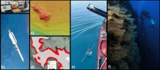 Seabed mapping included: fieldwork data acquisition (e.g., MBES, SSS) (a, b)); production of bathymetry, seabed and habitat maps (c, d)), and groundtruthing (e.g., diving, sediment sampling, drop-down cameras) (e, f)).