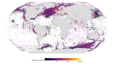 Plankton data in OBIS (Ocean Biodiversity Information System): 485 datasets – 8,662 species – 13,767,740 records