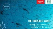 Invisible Wave: Getting to zero chemical pollution in the ocean