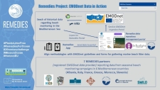 REMEDIES Project EMODnet data in action
