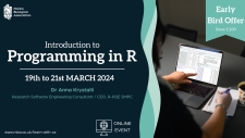 o	Advert for IntIntroduction to Programming in R course with a picture of someone pointing at the screen of their laptop at some R code.