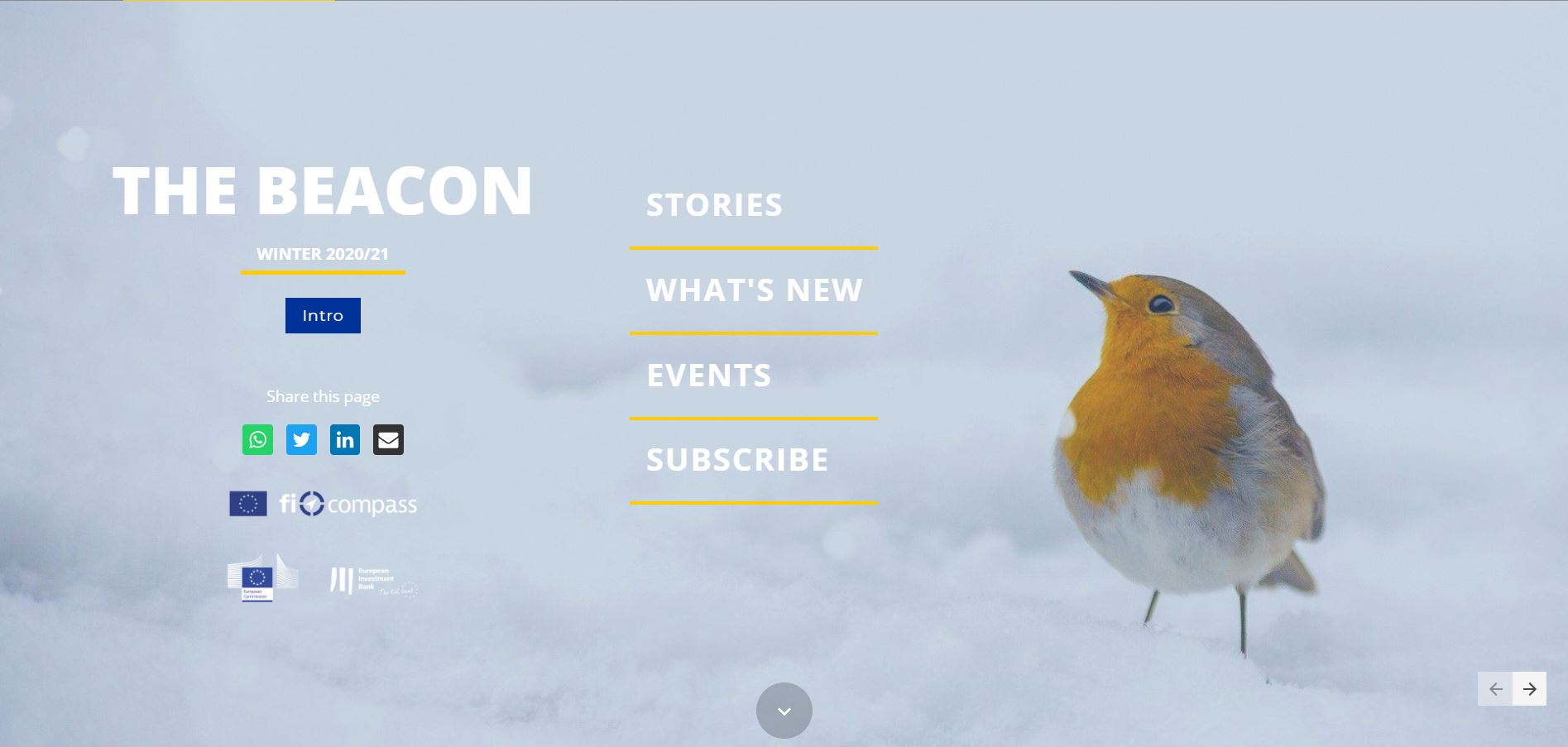 The winter edition of the fi-compass newsletter “The Beacon” is out