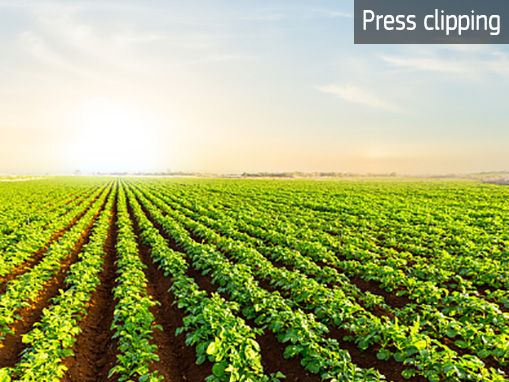 Northern Netherlands tests smart underground irrigation for potatoes