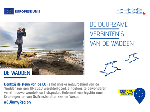 Nieuwe regionale campagne - Friesland, De Waddenzee