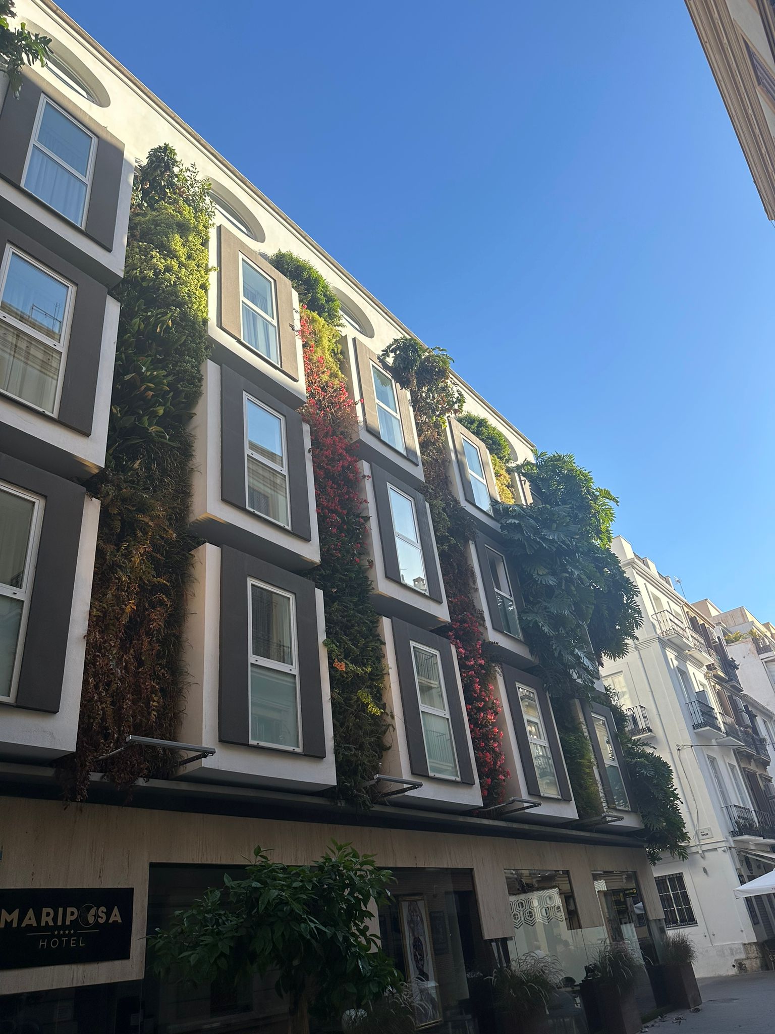 malaga