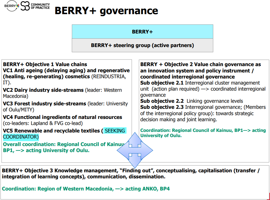BERRY-visual
