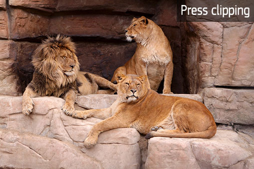 Miskolc zoo roars with pride at new developments