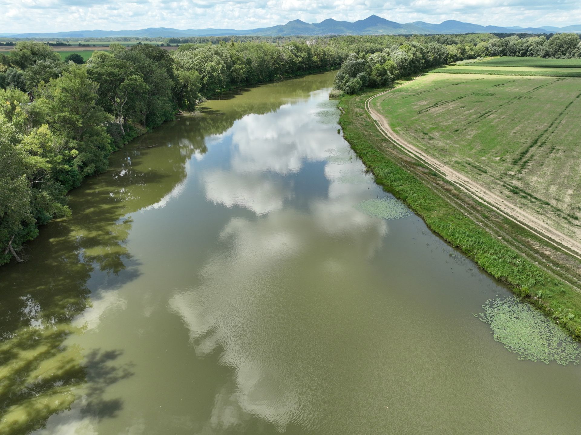 Cooperation as key ingredients to balance river ecosystems: Slovak and Hungarian water management bodies join forces across borders to protect the Bodrog and Tisza