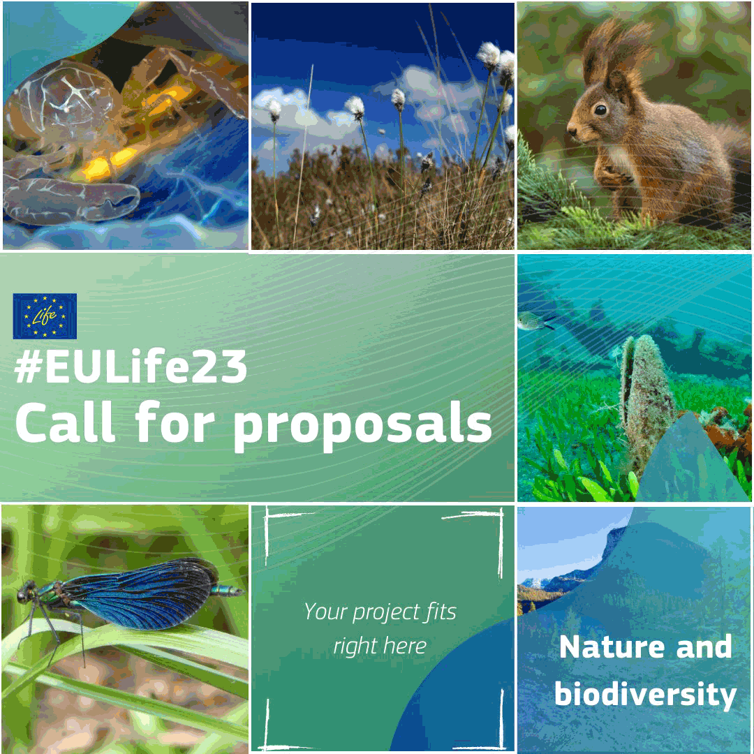 Calls for proposals under the LIFE Programme - the EU’s funding instrument for the environment and climate action - have been published on 18 April and 11 May