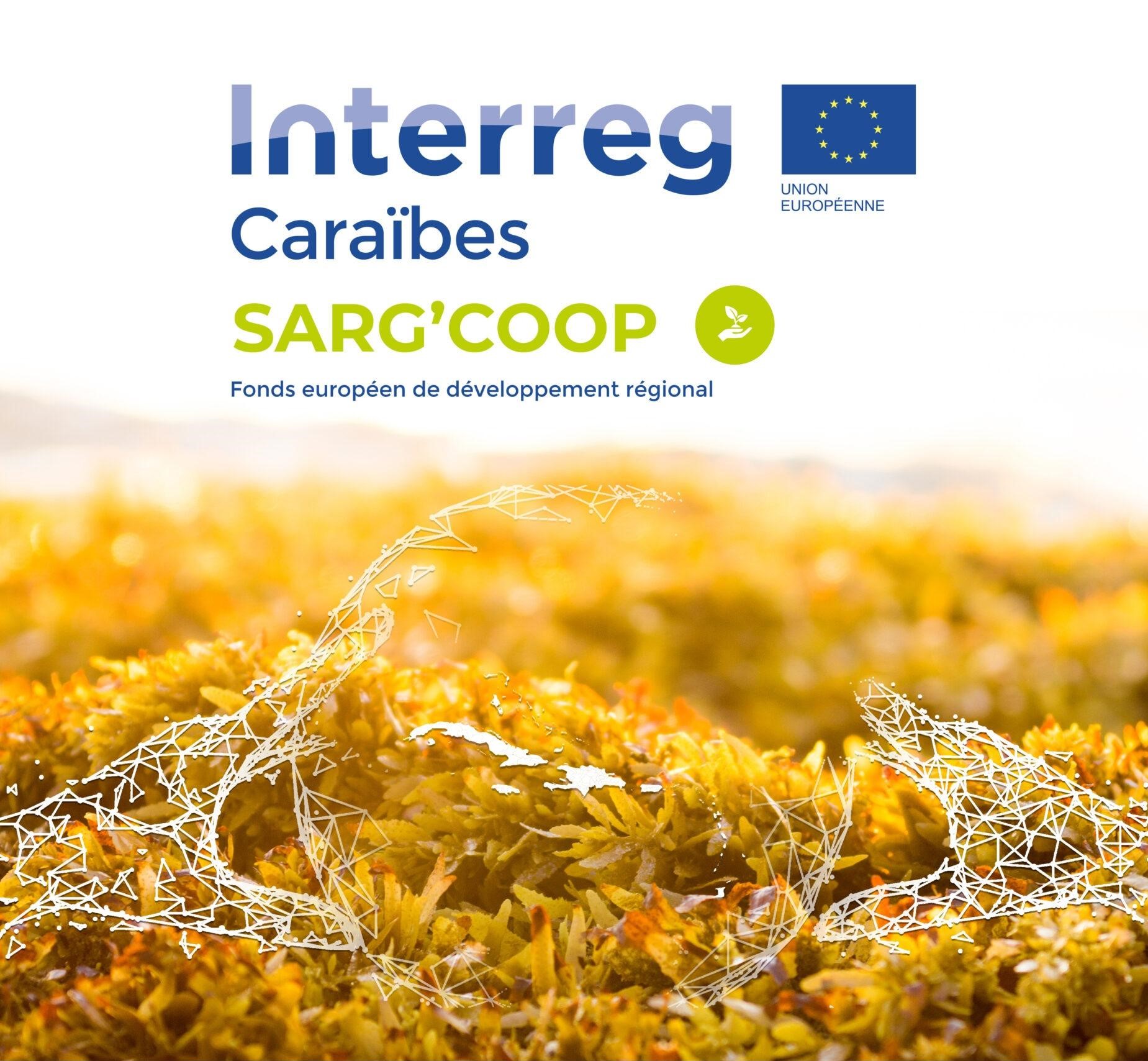 Cohesion Policy turning sargassum from a toxic nuisance into an opportunity for sustainable development