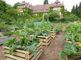 Botanischer Garten Berlin Entwickelt Verfahren Zur Kohlenstoffspeicherung Von Organischen Rest Und Abfallstoffen Projekte Eu Regionalpolitik Europaische Kommission