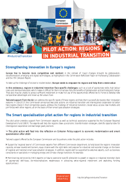 Pilot action: Regions in Industrial Transition