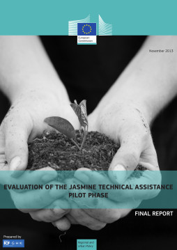 Evaluation of the JASMINE Technical Assistance Pilot Phase