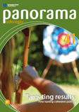 Panorama 41 - Forår 2012 - Målretning af resultater - Finjustering af samhørighedspolitikken
